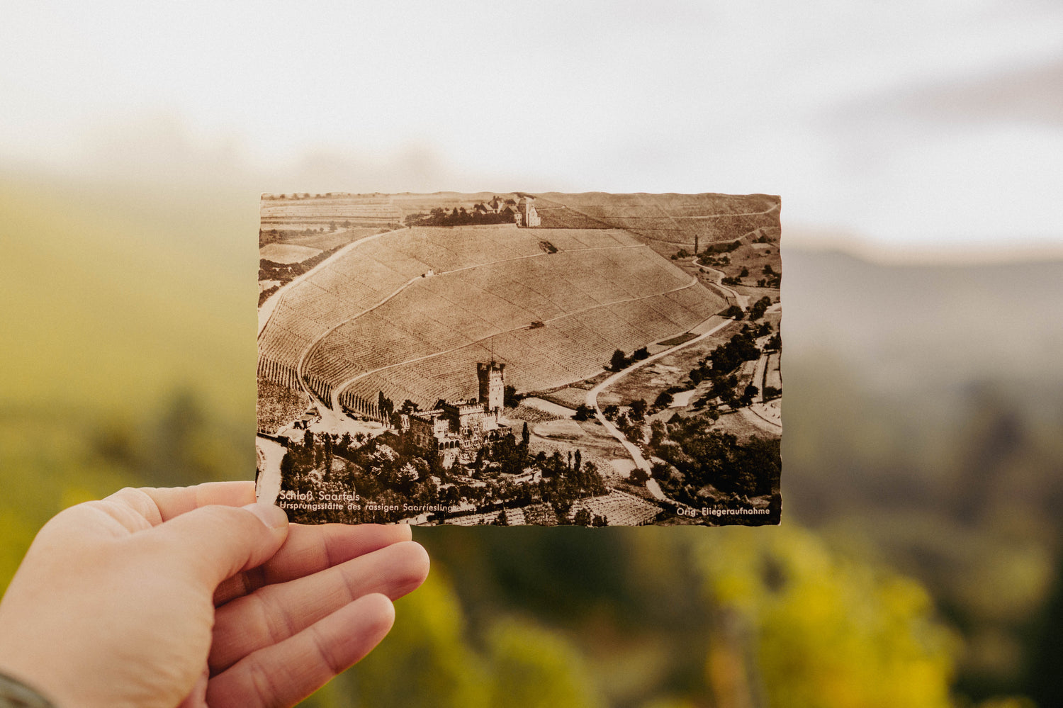 Foto von Landschaft während der Gründungszeit des Weingutes