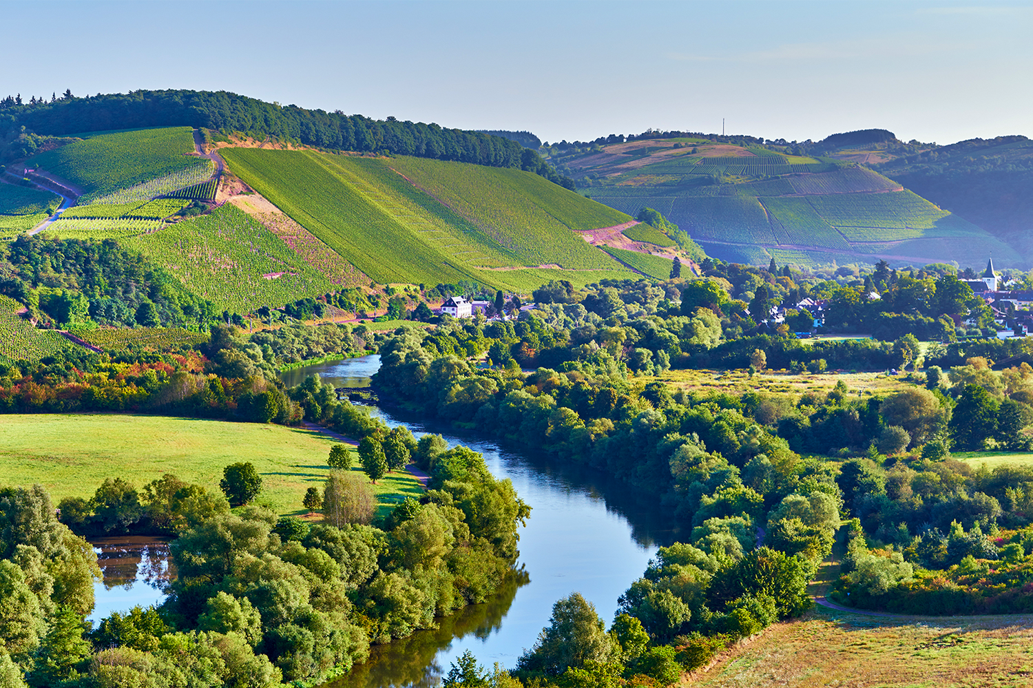 Landschaft und Weinreben Altenberg