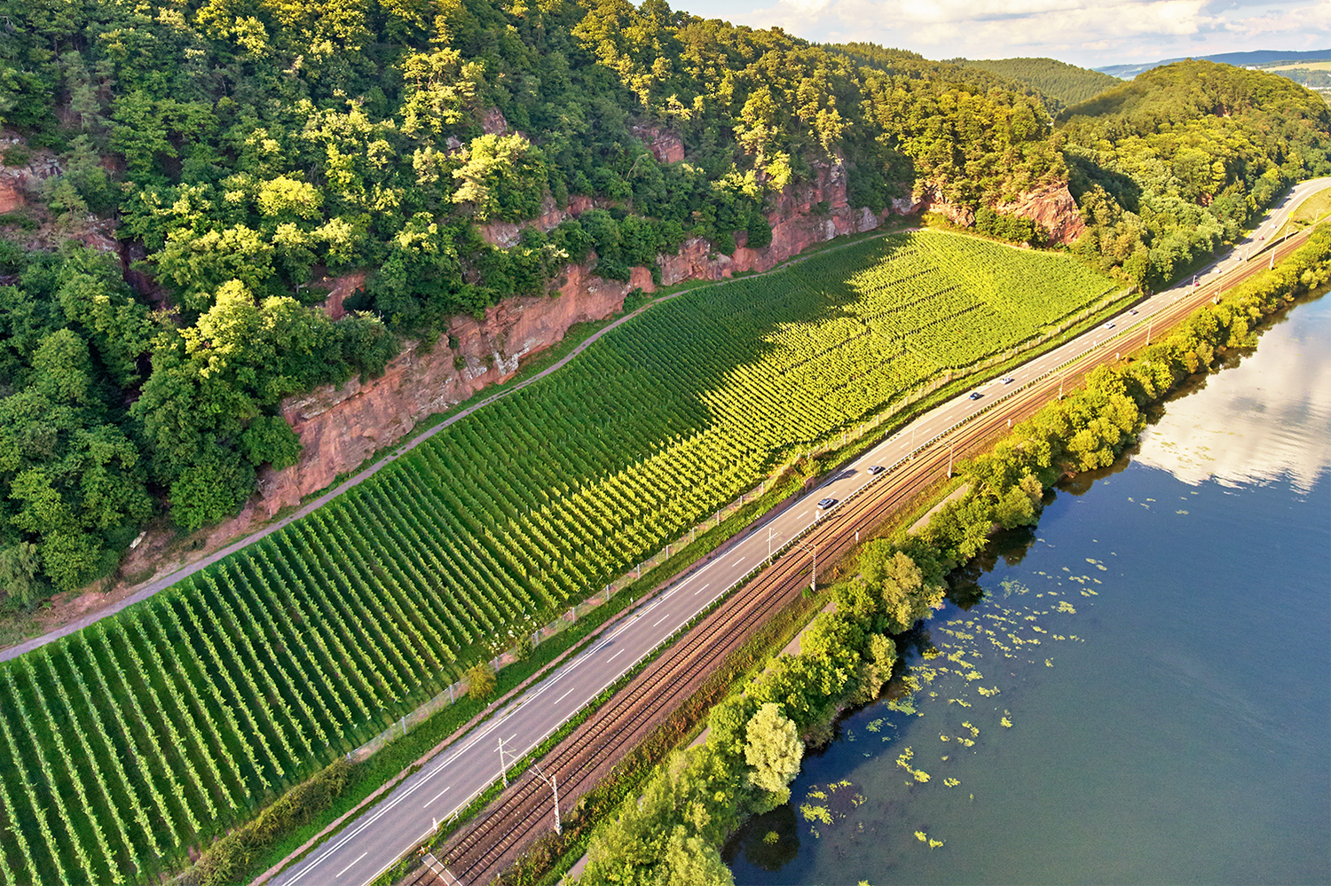 Landschaft und Weinreben Augenscheiner